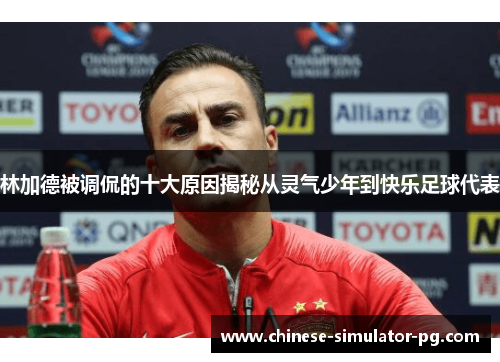 林加德被调侃的十大原因揭秘从灵气少年到快乐足球代表