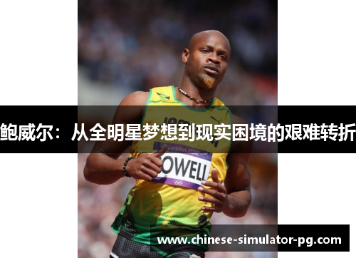鲍威尔：从全明星梦想到现实困境的艰难转折