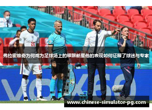 弗拉霍维奇为何成为足球场上的耀眼新星他的表现如何征服了球迷与专家 弗拉霍维奇为何成为足球场上的耀眼新星他的表现如何征服了球迷与专家