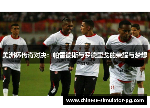 美洲杯传奇对决：帕雷德斯与罗德里戈的荣耀与梦想