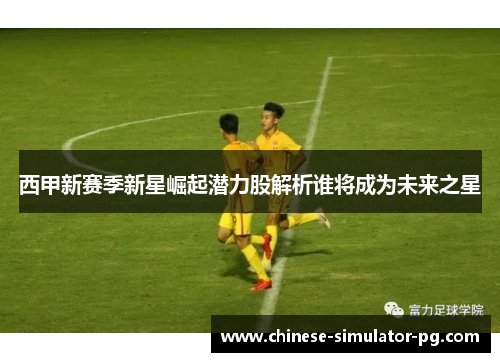 西甲新赛季新星崛起潜力股解析谁将成为未来之星