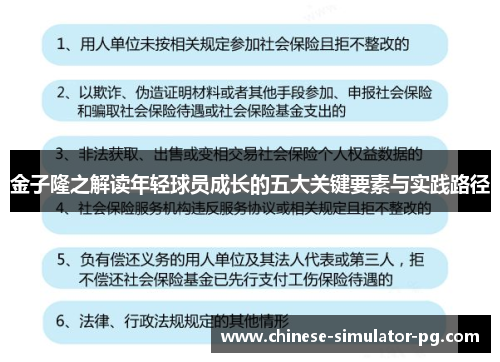金子隆之解读年轻球员成长的五大关键要素与实践路径